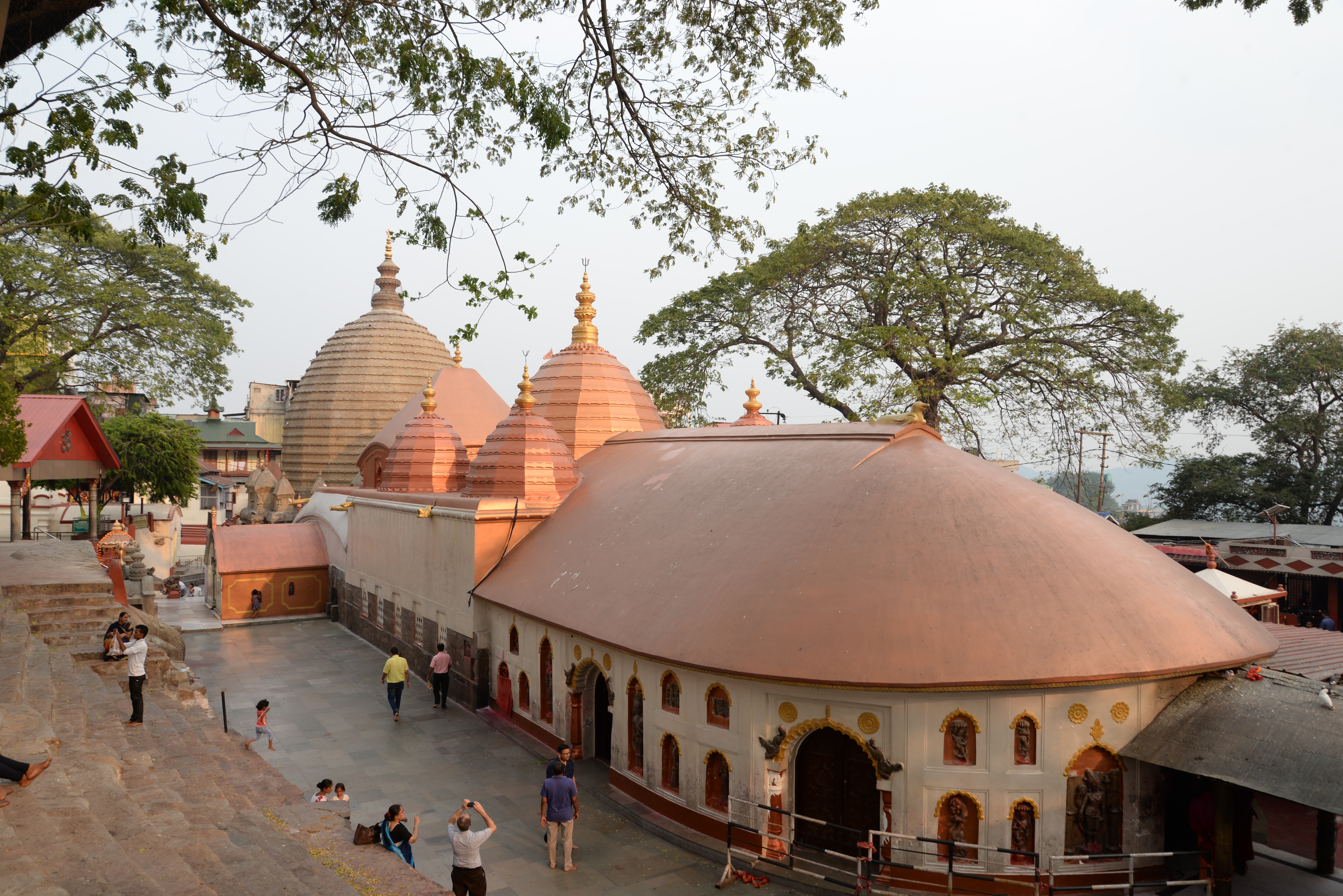 Kamakhya Pilgrimage & City Sights