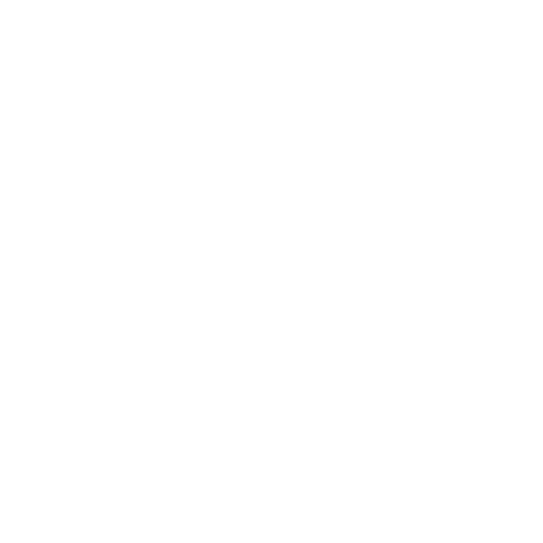 Brotherstravel logo